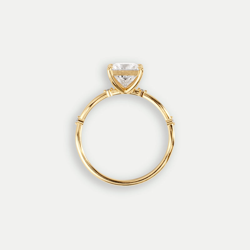 Detalle Oro Amarillo