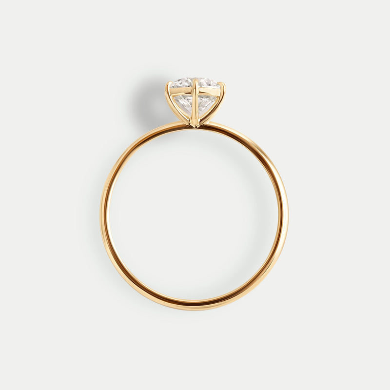 Detalle Oro Amarillo